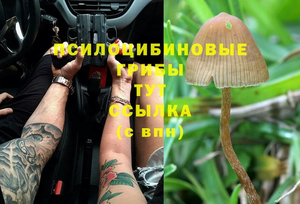 прущая мука Армянск
