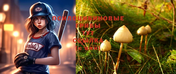 ГАЛЛЮЦИНОГЕННЫЕ ГРИБЫ Арсеньев